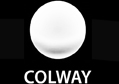 Strona www Colway