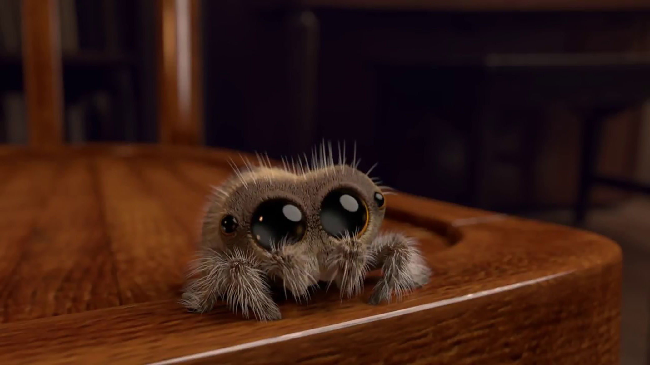 Netiowe “Nie ma jak w sieci” i Lucas the Spider