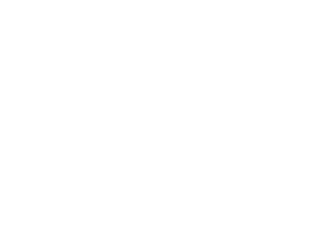 fddii 300x216 1